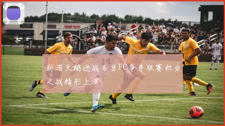 新泻天鹅迎战东京FC争夺联赛积分之战精彩上演